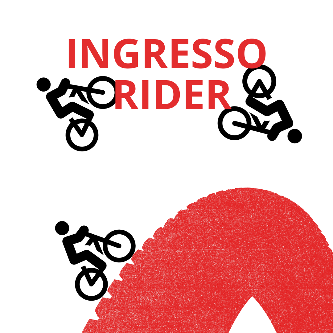 Vittoria Games Rider